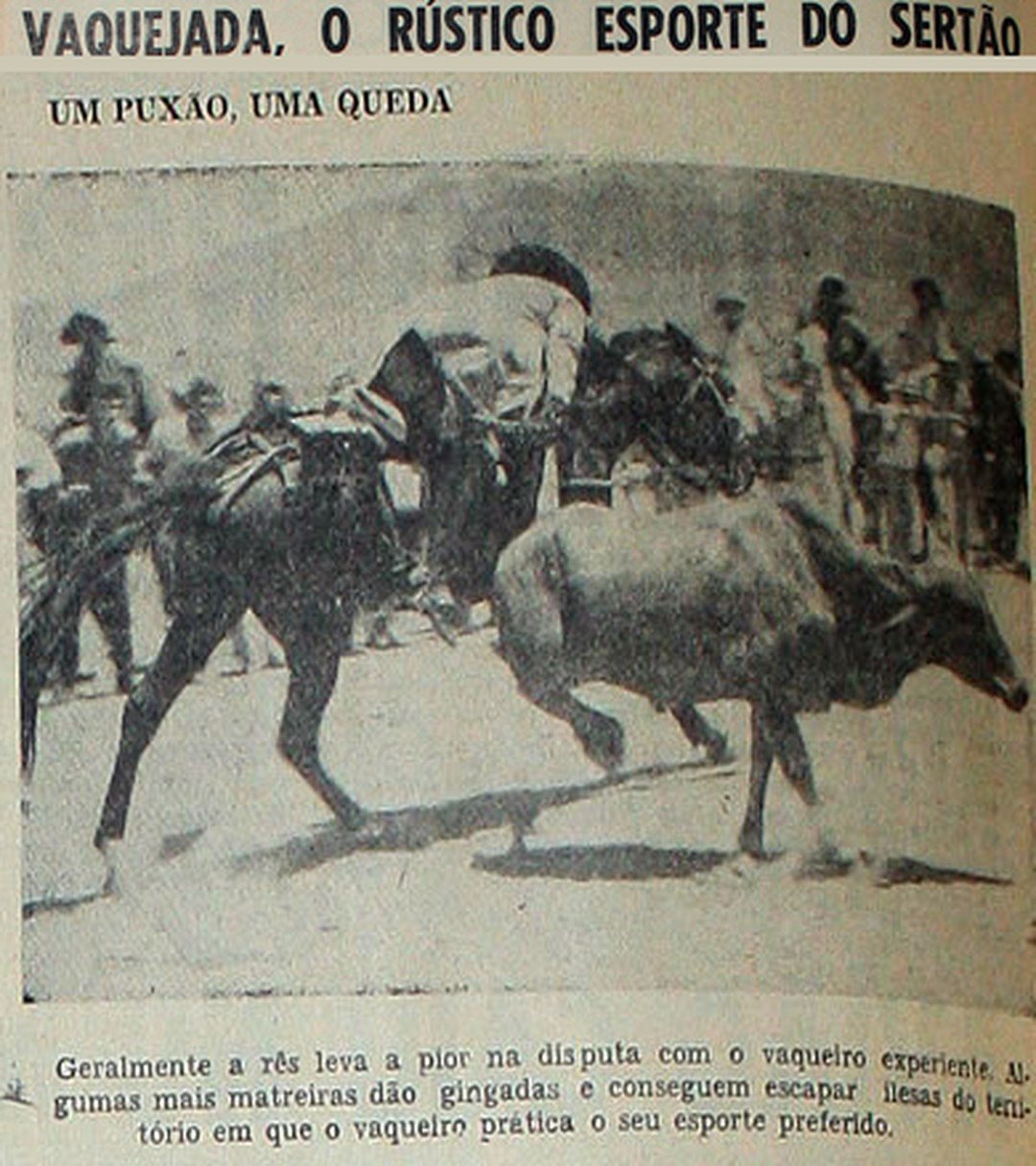 Vaqueiro a galope ao lado do boi, puxando-o pelo rabo, sob o título 'Vaquejada, o rústico esporte do sertão'; nas outras imagens, vaqueiros de chapéu de couro c