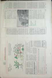 Hemeroteca - pagina correio_do_ceara_1967_04_0014.jpg