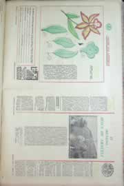 Hemeroteca - pagina correio_do_ceara_1967_04_0274.jpg
