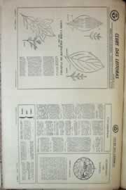Hemeroteca - pagina correio_do_ceara_1967_06_0234.jpg