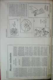 Hemeroteca - pagina correio_do_ceara_1969_10_0069.jpg