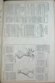 Hemeroteca - pagina correio_do_ceara_1969_10_0284.jpg