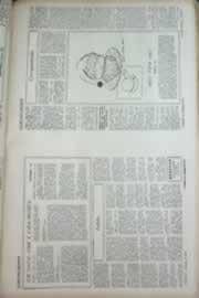 Hemeroteca - pagina correio_do_ceara_1969_10_0408.jpg