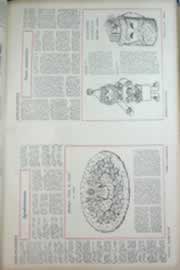 Hemeroteca - pagina correio_do_ceara_1969_11_0241.jpg