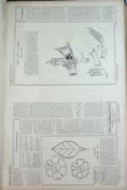 Hemeroteca - pagina correio_do_ceara_1969_11_0243.jpg