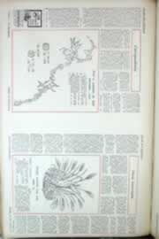 Hemeroteca - pagina correio_do_ceara_1969_11_0358.jpg