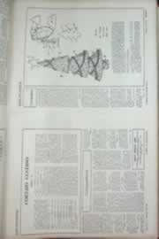 Hemeroteca - pagina correio_do_ceara_1969_11_0361.jpg