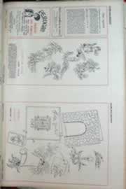 Hemeroteca - pagina correio_do_ceara_1969_12_0477.jpg