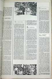 Página do jornal Correio do Ceará de dezembro de 1971