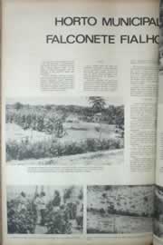 Hemeroteca - pagina correio_do_ceara_1972_09_0026.jpg