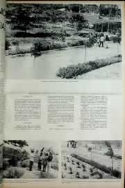 Hemeroteca - pagina correio_do_ceara_1972_09_0027.jpg