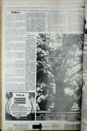 Hemeroteca - pagina correio_do_ceara_1977_03_0593.jpg