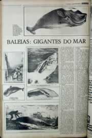 Página do jornal Correio do Ceará de abril de 1977