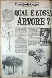 Página do jornal Correio do Ceará de janeiro de 1979