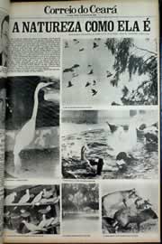 Hemeroteca - pagina correio_do_ceara_1979_02_0057.jpg