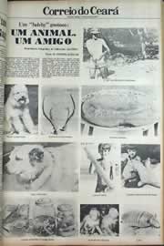 Hemeroteca - pagina correio_do_ceara_1979_02_0205.jpg