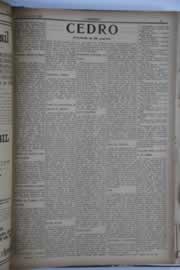 Hemeroteca - pagina O_Nordeste_1928_06_0197.jpg