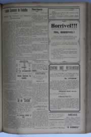 Hemeroteca - pagina O_Nordeste_1931_07_0193.jpg