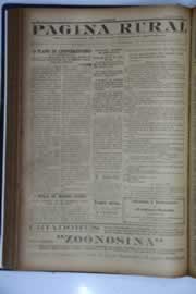 Hemeroteca - pagina O_Nordeste_1933_02_0162.jpg