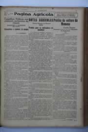 Hemeroteca - pagina O_Nordeste_1939_07_0137.jpg