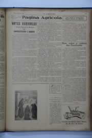 Hemeroteca - pagina O_Nordeste_1939_10_0065.jpg