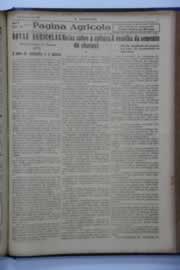 Hemeroteca - pagina O_Nordeste_1939_12_0035.jpg
