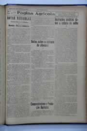 Hemeroteca - pagina O_Nordeste_1939_12_0165.jpg