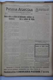 Hemeroteca - pagina O_Nordeste_1940_11_0023.jpg
