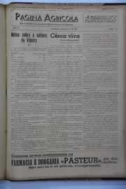 Hemeroteca - pagina O_Nordeste_1940_12_0023.jpg