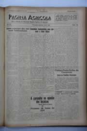 Hemeroteca - pagina O_Nordeste_1941_05_0087.jpg