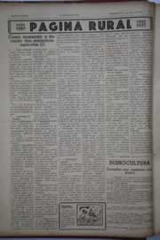 Hemeroteca - pagina O_Nordeste_1946_01_0042.jpg