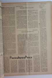 Hemeroteca - pagina O_Nordeste_1963_01_0089.jpg