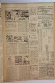 Hemeroteca - pagina O_Nordeste_1963_04_0077.jpg
