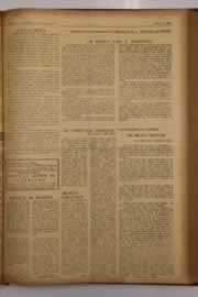 Hemeroteca - pagina O_Nordeste_1963_10_0159.jpg