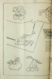 Hemeroteca - pagina Unitario_1954_11_0090.jpg