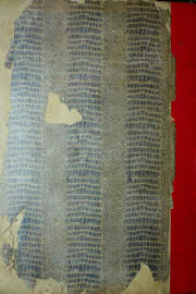 Hemeroteca - pagina Unitario_1957_09_0245.jpg