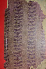 Hemeroteca - pagina Unitario_1959_01_0001.jpg