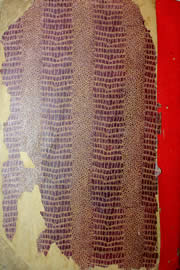 Hemeroteca - pagina Unitario_1959_12_0249.jpg