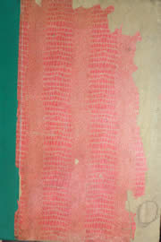 Hemeroteca - pagina Unitario_1960_01_0001.jpg
