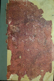 Hemeroteca - pagina Unitario_1961_10_0001.jpg