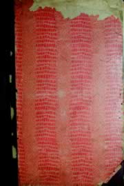 Hemeroteca - pagina Unitario_1966_01_0001.jpg