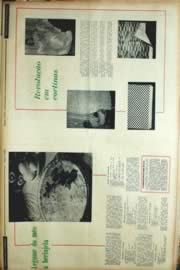 Hemeroteca - pagina Unitario_1967_01_0148.jpg