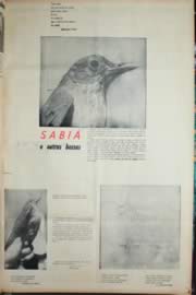Hemeroteca - pagina Unitario_1968_10_0056.jpg