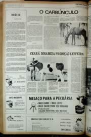 Hemeroteca - pagina Unitario_1972_12_0246.jpg